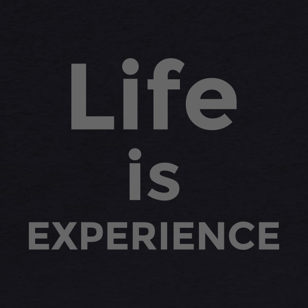 Life is experience quote by Charith